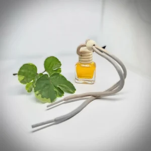 Car Hanging Pendant Type Bottle Perfume Orange Scent Ornament