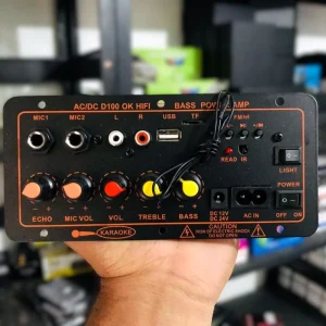 220V 12V 24V High Power Digital Bluetooth Amplifier Board Subwoofer Dual Microphone Amplifier 100W Modal: D100
