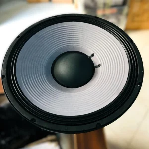 High Sound JBL 15 Inch Size 220mm 100mm Coil Type Outdoor Speaker Modal: 2226H